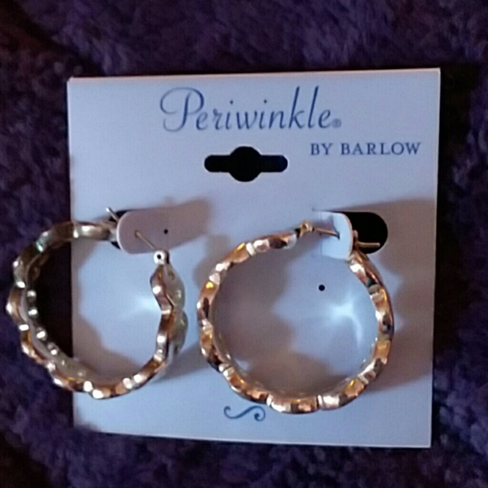 Silver Hoops